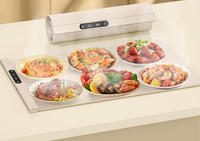 Chauffe-Plats Électrique Portable et Pliable avec Chauffage par Bobine, 6 Brûleurs, Surface en Silicone pour Buffets et Fêtes