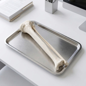 Modelo de Espuma Sólida de Hueso Tibial y Fibular, Simulación de Hueso Tibial y Fibular Humano para Entrenamiento Preoperatorio de Perforación e Implantes Ortopédicos - Product Image 4