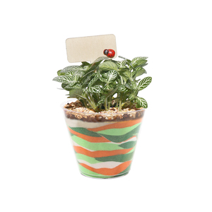 Kit fai da te fatto a mano vaso artificiale fiori naturali da tavolo Bonsai Kit stile Country Design da giardino realizzato in fibra vegetale