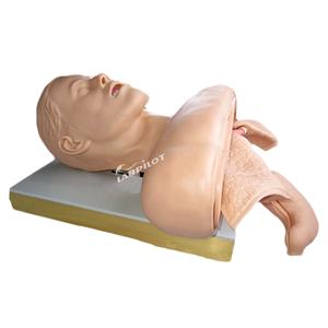 Modèle de tête d'intubation orale et nasale électronique de haute qualité, modèle de tête d'intubation endotrachéale - Product Image 3