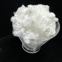Offre Spéciale Fibre de Polyester Creuse Conjugée (HCS) Vierge Blanche 3D 7D 15D pour le Filage et les Matériaux de Remplissage
