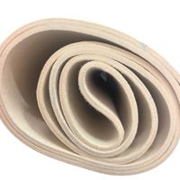 Feutre Nomex personnalisé Subliqijun de 8 mm à 10 mm, 100 % Nomex, avec rouleau pour transfert thermique