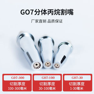หัวตัดเปลวไฟ PLC รุ่น G07 30 100 300 แบบแยกส่วนสำหรับหัวพ่นแก๊สโพรเพน ใช้กับหัวตัดแบบ Spear สำหรับตัดวัสดุหนา 2-250 มม. แรงดันใช้งาน 8MPA - Product Image 4