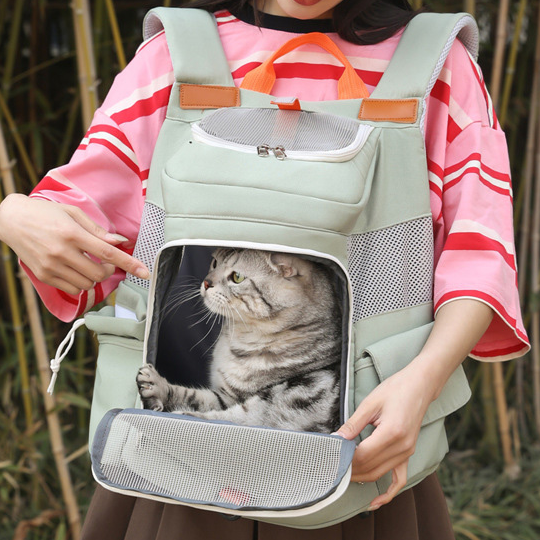 Morandi Breathable Mesh Backpack Modern Style