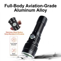 Lampe torche UV rechargeable 365 nm pour usage extérieur, en aluminium, identificateur de fluorescence, vérification des étiquettes de vin, OEM