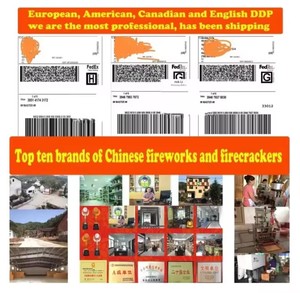 <span class=keywords><strong>Polvo</strong></span> Mágico para Chimenea, Colorido, Artístico, Místico, para Fiestas de Camping, Material sin Pirotecnia, Hecho <span class=keywords><strong>en</strong></span> China - Product Image 6