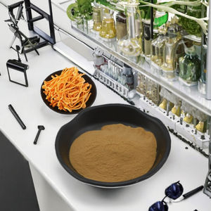 Trametes Robiniophila Extract Powder Natural Mushroom Ingredient - Product Image 3