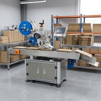 Máquina Etiquetadora Automática de Superficie Plana, Sistema de Codificación por Inyección de Tinta con Transportador Eléctrico para Botellas, Cajas, Latas, Madera y Plástico