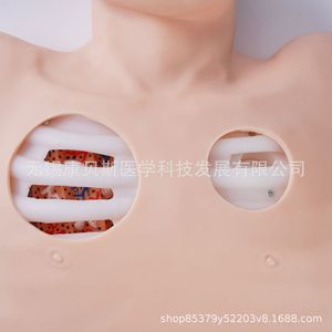 Modèle de drainage thoracique KBS/XQ, simulateur de formation au drainage fermé du pneumothorax - Product Image 4
