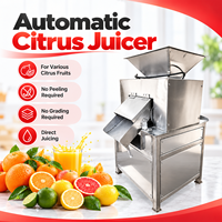 Industriële automatische citruspers van roestvrij staal met dubbele roller voor fruit, sinaasappels en citroenen