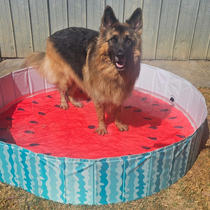 Prezzo di fabbrica rotondo Pet cane pulizia <span class=keywords><strong>piscina</strong></span> pieghevole cane gatto <span class=keywords><strong>piscina</strong></span> giardino piscine per <span class=keywords><strong>cani</strong></span> - Product Image 2