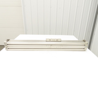 Unité de transmission linéaire pneumatique sans tige Dgp-2"-30"-ppva, course de 30 pouces, 120 psi, neuve, originale, avec PLC intégré
