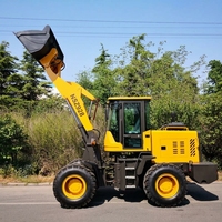 Chargeuse sur pneus de 1,8 tonne, 58 kW, 0,8 m³, 4x4, compacte, diesel, pour travaux de construction, terrassement et manutention agricole