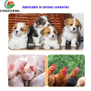 Directe Levering Uit China Fabriek Lactobacillus <span class=keywords><strong>Acidophilus</strong></span> Probiotica In Wit Gevriesdroogd Poeder Uitstekende Waarde! - Product Image 3