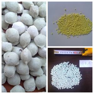 Fertilizante orgánico natural de alta calidad/fertilizante compuesto NPK 304 equipo de granulación de acero inoxidable - Product Image 5