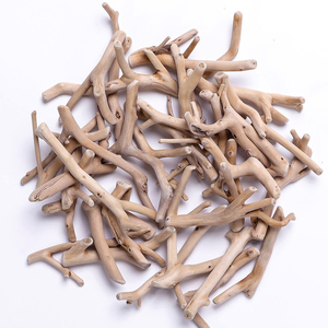 Pounds 3 Bulk Driftwood Medium Box of Driftwood 11\u201dx8\u201dx5\u201d