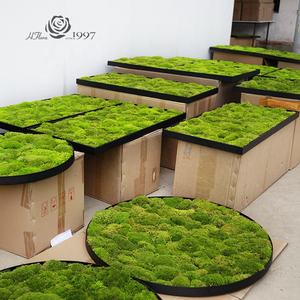 Aangepast bewaard gebleven rendier mos wandpaneel voor Home Office Decor OEM <span class=keywords><strong>moss</strong></span> gras lang met behulp van Wall Live Restaurant Hotel - Product Image 3
