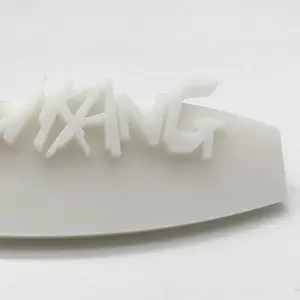 Servizio di stampa 3D prototipo rapido Maker polvere di Nylon bianco Sls stampa 3D