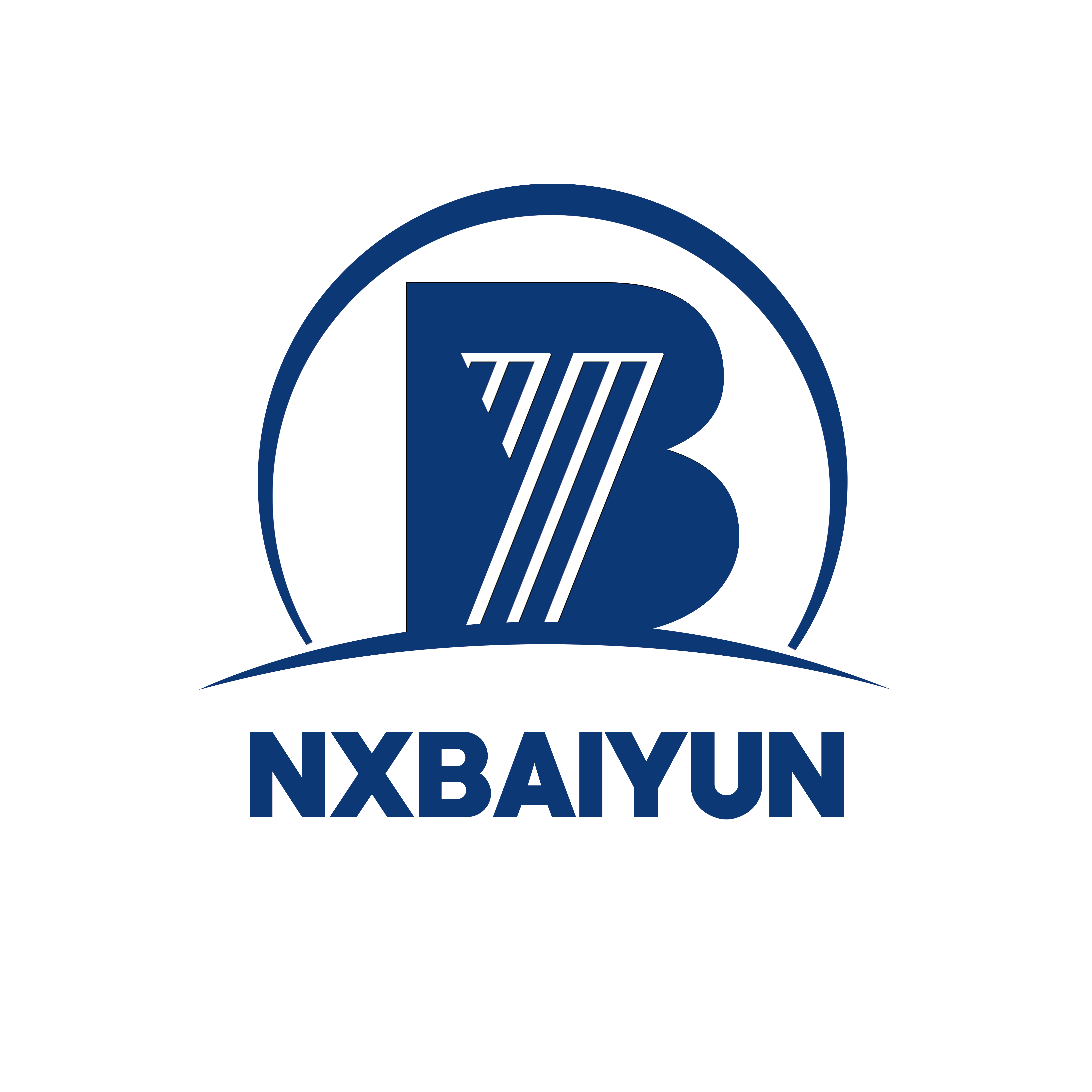 Ningxia Baiyun Carbon Co., Ltd. logo