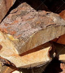 Residuos de Aserradero (Tablas y Cantos) - Product Image 3