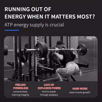 Échantillon Gratuit Marque Privée DAZE Créatine Monohydrate BCAA Bonbons Gommeux Pré-Entraînement Prise de Poids Adulte Soutien Immunitaire Gym