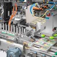 Machine d'emballage de caisses en carton enveloppante personnalisée largement utilisée dans les grands sacs de tapioca de farine de blé