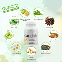 Capsules brûle-graisses abdominales à base d'extrait de Garcinia Cambogia, formule scientifique OEM/ODM, favorisent le métabolisme et soutiennent les niveaux d'énergie