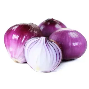 Wholesale Onion Red Yellow Purple Skin New Crop Fresh Onion Price From Factory Supplier