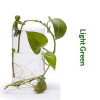 Hydroponische Kunststoffbeschichtete Pflanzenbegleiter für Aquarium, Bürodekoration, Kabelmanagement, Gartenzubehör, Ornamente, Blumen