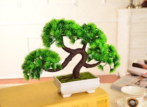 E-3049 Descuento por tiempo limitado Planta bonsái en maceta de plástico Bonsái de pino para decoración del hogar - Product Image 4