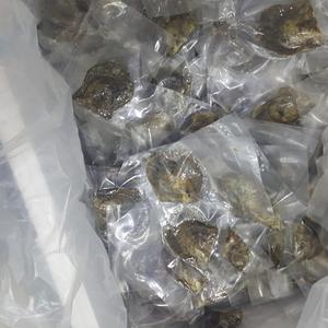 Perlas de Agua Salada del Mar Negro de Luz Intensa, Perlas Sueltas Casi Redondas Rellenas de Agua Dulce, Envasadas al Vacío para Comercio Exterior - Product Image 5