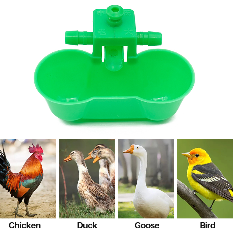 Chicken Water Cups, Automatic Chicken Waterer Automatic