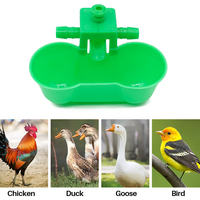 Abreuvoir à eau pour poulet, oiseaux, caille, poulet, abreuvoir, bol automatique, mangeoire à volaille, gobelets à eau