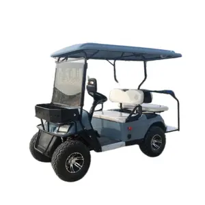 Hot Selling Sports Car Farm Utility Electric Golf Cart 2 Seater Wholesale Golf Cart Price Low Golf Buggy