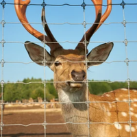 Clôture anti-cerfs de haute qualité, 6 pieds de haut, en maille de fil d'acier robuste à nœuds fixes, rouleau de 50 m
