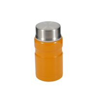 Boîte à lunch isotherme en acier inoxydable de 500 ml pour adultes, écologique, performance thermique de 6 à 12 heures