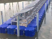 Plateforme flottante modulaire résistante aux intempéries en HDPE, ponton portable pour jet ski, système de quai commercial pour bateaux, certifié IALA, Botai BT