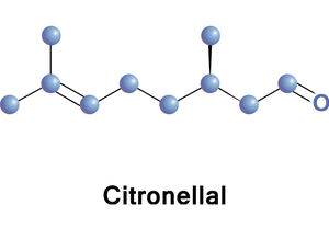 Huile liquide d'extrait de citronellal 99% de pureté pour les arômes industriels utilisés dans les additifs alimentaires, les parfums et l'agriculture - Product Image 3