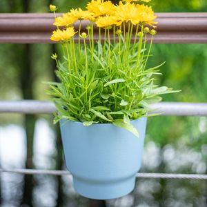 <b>Plastic</b> Hanging <b>Basket</b> Round For Balcony And Stair Railing Plant Pot With Hangable Design For Home Use - Product Image 1