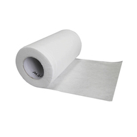 25 Gsm 99% Filtration Good Quality <strong>Best</strong> Sale Nonwoven Meltblown <strong>Cloth</strong> Anti-static Anti-bacterial Melt Blown Bfe 99%