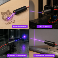 Module laser violet haute précision 405 nm 100 mW, diode laser 3,0 V, UV, pour polymérisation, fluorescence, spectroscopie, CE, RoHS, OEM, ODM