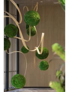 Gran oferta, Bola de techo de musgo <span class=keywords><strong>Marimo</strong></span> verde preservada Natural para decoración interior para el Día de la madre, graduación, Día de San Valentín, Navidad - Product Image 2