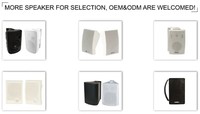 Altavoz de Columna Activo de Aluminio Resistente al Agua, Entrada RCA, Soporte Ajustable Multipotencia, Altavoz PA para Exteriores, para Transmisiones al Aire Libre