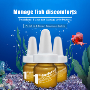 Cá Nhiệt Đới Thối Thịt, Cá Vàng, Guppy - Product Image 2