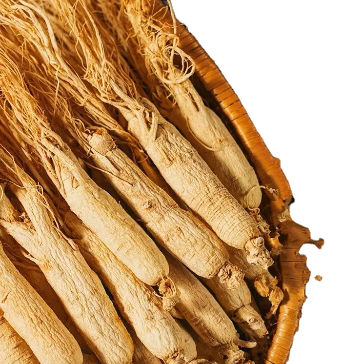 Ginseng bianco cinese naturale da Changbai mountain Food uso e per avere una buona bellezza del corpo