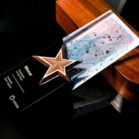 Trophée en verre de cristal vierge, trophée en verre de cristal personnalisé avec trophée en verre d'étoile en métal, cadeau Souvenir