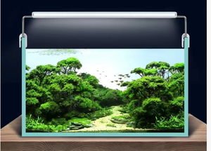 Luce LED a Risparmio Energetico <span class=keywords><strong>per</strong></span> <span class=keywords><strong>Acquario</strong></span>, Illuminazione <span class=keywords><strong>per</strong></span> Paesaggistica Ecologica, Lampada Decorativa a Clip <span class=keywords><strong>per</strong></span> Piante <span class=keywords><strong>Acquatiche</strong></span> e <span class=keywords><strong>Tartarughe</strong></span> - Product Image 5