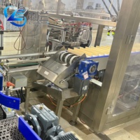 Empaquetadora Robótica Delta Automática Personalizada para Pequeñas Empresas, Alimentos, Snacks, Metal, Alta Precisión, Alta Productividad, Eléctrica