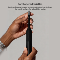 Fabricant BSCI, brosse à dents électrique douce et légère à 1 mode, logo privé, rechargeable, magnétique, brosse à dents électrique dentaire