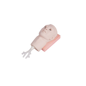<span class=keywords><strong>Crico</strong></span>-Modèle de ponction thyroïdienne Produit scientifique médical - Product Image 4